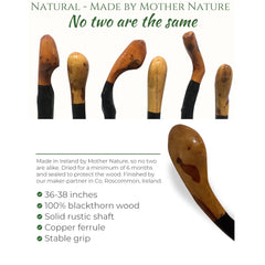 Shillelagh Walking Stick with Box, Handcrafted in Ireland Blackthorn Wood Cane, Black Lacquered Finish