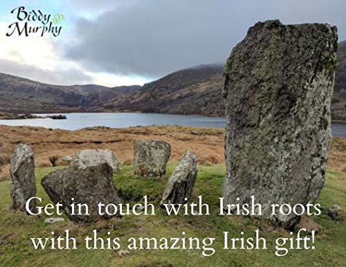 Biddy Murphy Irish Sláinte Toast Wall Art – Hand-Painted on Feathered Paper, Framed, Made in Ireland