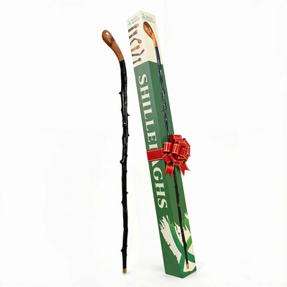 Shillelagh Walking Stick with Box, Handcrafted in Ireland Blackthorn Wood Cane, Black Lacquered Finish