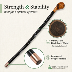 Shillelagh Walking Stick with Box, Handcrafted in Ireland Blackthorn Wood Cane, Black Lacquered Finish