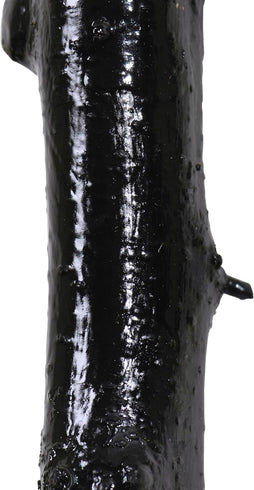Imported Shillelagh Wooden 36" Irish Walking Stick - Handcrafted 100% Blackthorn Wood Cane (Black High Gloss Lacquered)