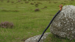 Shillelagh Walking Stick with Box, Handcrafted in Ireland Blackthorn Wood Cane, Black Lacquered Finish